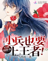 男神别撩我：小兵也要上王者！