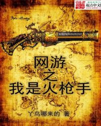 网游之我是火枪手