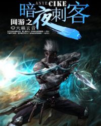 网游之暗夜刺客